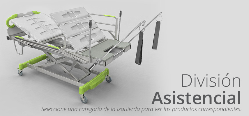 División Asistencial