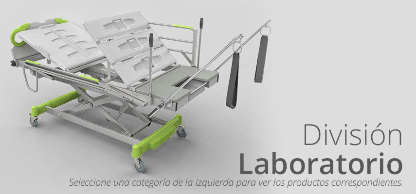 División Laboratorio
